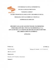 PROGRAMA CIENCIAS JURÍDICAS Y POLÍTICAS SUBPROGRAMA DERECHO. Página 1