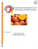 Apromalpi: Orígenes, actividades y objetivos de la asociación de productores de mango