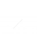 PLAN DE GOBIERNO PERÚ LIBRE PLAN DE GOBIERNO PERÚ AL BICENTENARIO SIN CORRUPCIÓN