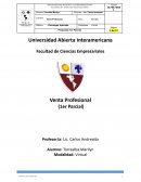 Venta Profesional