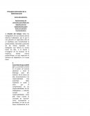 Principios Generales de la Administración