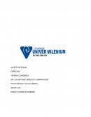 ENSAYO SOBRE ECONOMÌA