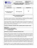 Guía de práctica clínica Abdomen abierto