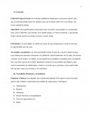 Foro - Pensar como economista