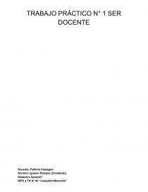TRABAJO PRÁCTICO N° 1 SER DOCENTE. Página 1