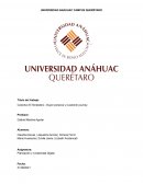 Colectivo El Tendedero - Buyer persona y Customer journey