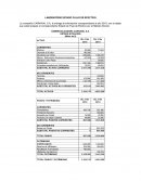 COMERCIALIZADORA CARNAVAL S.A