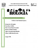 Características de los sistemas vivos