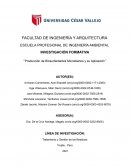 Producción de biosurfactantes microbianos y su aplicación