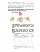 ¿Qué es la organización horizontal o por procesos?
