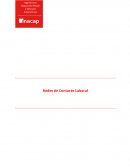 Redes de Contacto Laboral