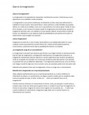 ¿La imaginación surge de un conocimiento?