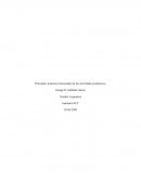 Principales trastornos funcionales de las actividades productivas