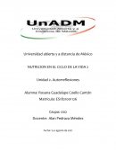 IMPORTANCIA DE CONOCER LOS REQUERIMIENTOS DE MICRONUTRIENTES EN LA ETAPA ADULTA