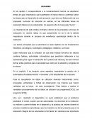 RESUMEN FUNDAMENTACIÓN TEÓRICA SOBRE EDUCACIÓN EN VALORES