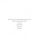 Analizar el ciclo de vida de una planta productiva de Sardinas en tarro, para Identificar sus impactos ambientales generados