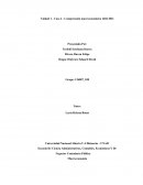 Grafico comportamiento del PIB