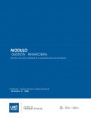 Programa y Cronograma Gestión Financiera