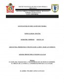 EL PAPEL DEL TRABAJO DE LA TRASNFORMACION DE MONO EN HOMBRE