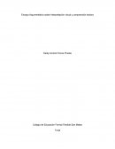 Ensayo Argumentativo sobre interpretación visual y comprensión lectora