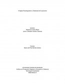 Arreglos Rectangulares y Sistemas de Ecuaciones