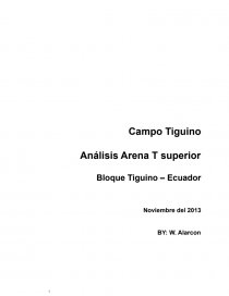 Campo Tiguino Análisis Arena T superior. Página 1
