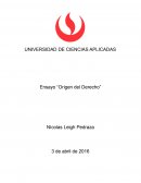 Ensayo “Origen del Derecho”