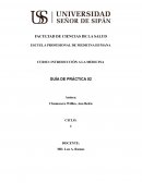 INTRODUCCIÓN A LA MEDICINA GUÍA DE PRÁCTICA 02