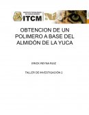 Elaboracion de polimero