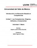 Las Competencias, Orígenes, Atributos y Componentes