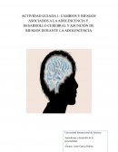 CAMBIOS Y RIESGOS ASOCIADOS A LA ADOLESCENCIA Y DESARROLLO CEREBRAL Y ASUNCIÓN DE RIESGOS DURANTE LA ADOLESCENCIA