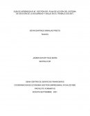 GESTIÓN DEL PLAN DE ACCIÓN DEL SISTEMA DE GESTIÓN DE LA SEGURIDAD Y SALUD EN EL TRABAJO (SG-SST)