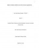 Actividad Análisis de caso sobre la estructura organizacional