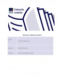 Dirección y sistemas de control