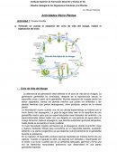 Ciclo de Vida del Musgo