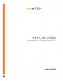 PERFIL DE CARGO: ANALISTA DE RIESGO FINANCIERO JUNIOR
