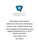 Plan Estratégico de Mercadotecnia para Negocios Electrónicos de un “kit de limpieza para tenis”