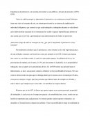 Importancia de pertenecer a un sistema previsional ya sea público o privado de pensiones (AFP y ONP)