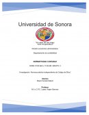 NORMAS DE PRÁCTICA INDEPENDIENTE DE CÓDIGO DE ÉTICA