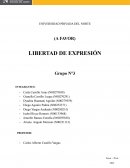 Libertad de expresion