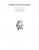 Orlando Furioso Tp investigación