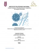 Proyecto de Investigación Estudio sobre los efectos de la Pandemia en los alumnos de Ingeniería Mecatrónica de UPIITA en 2021