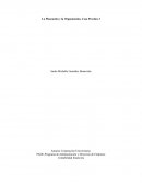 La Planeación y la Organización, Caso Practico 3