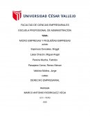MICRO EMPRESAS Y PEQUEÑAS EMPRESAS