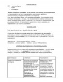 Trabajo sobre salud neurologia