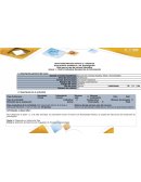 Matriz Individual Recolección de Información