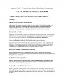 EVALUACIÓN DE LAS 5 FUERZAS DE PORTER CAMPO ESTRATÉGICO: ENTRADA DE NUEVOS COMPETIDORES