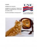 TRABAJO EN EQUIPO, COLABORACION Y SOLUCION DE CONFLICTOS