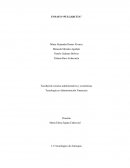 ENSAYO “PULGARCITA”