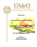 Comercialización de Camarón seco saludable